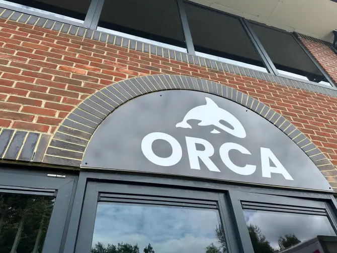 1-fix_orca
