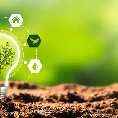 Introducing our Sustainability Champion...