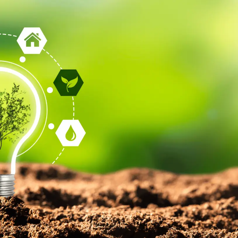 Introducing our Sustainability Champion...