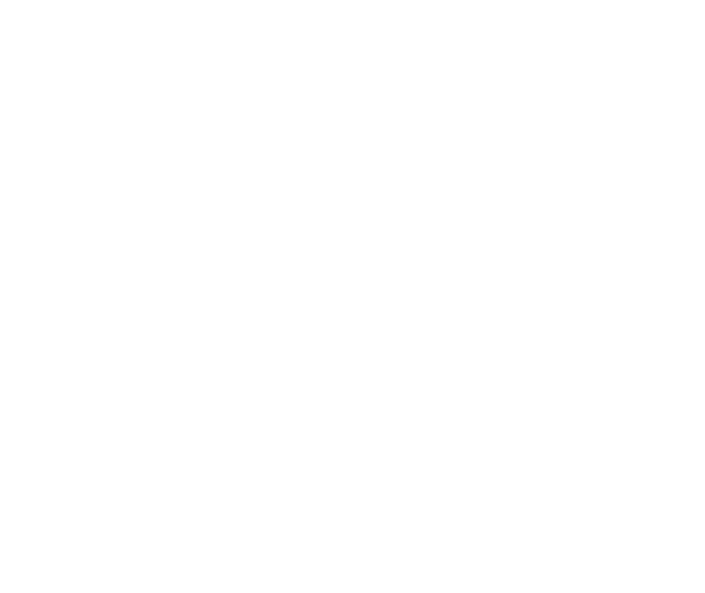 Member Initiative of the Year 2025